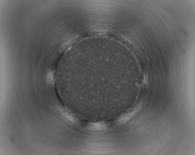 X0000111050286200908061524