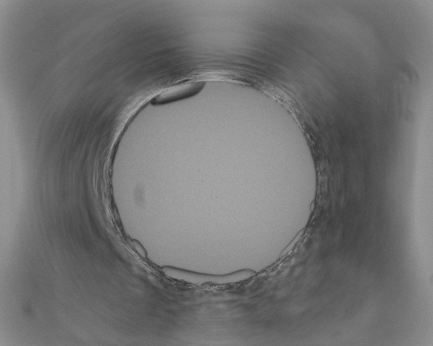 X0000111050289200908061523