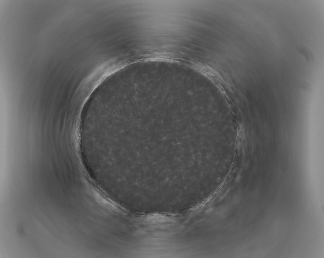 X0000111050290200908061523