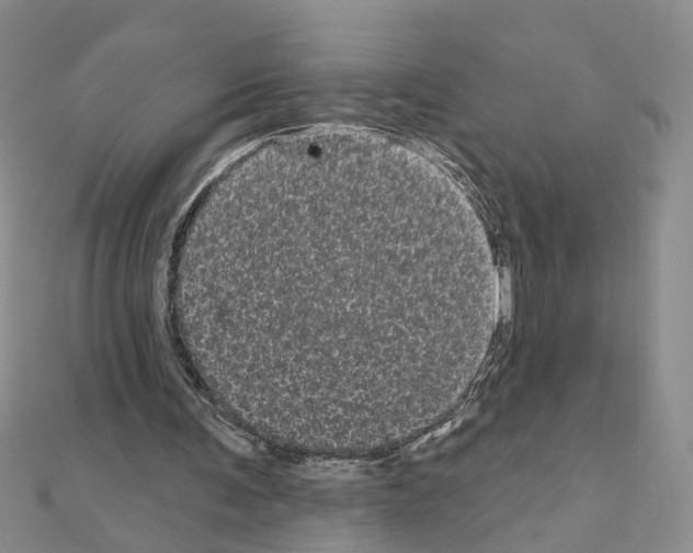 X0000111050291200908061523