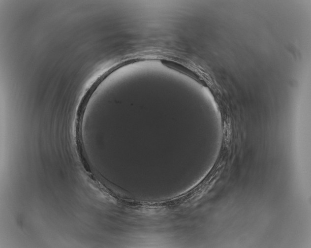 X0000111050292200908061523