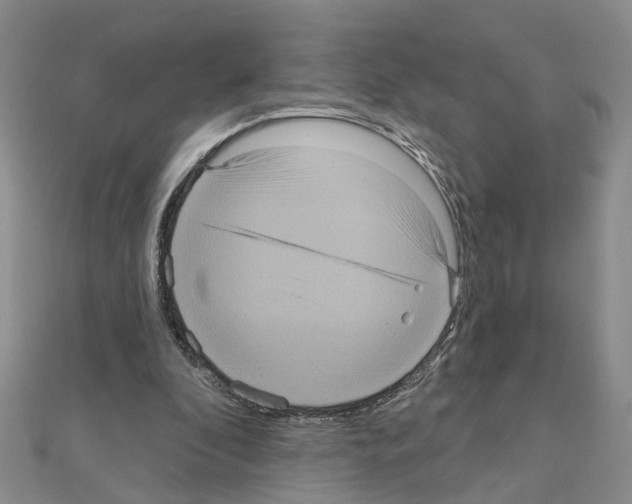 X0000111050296200908061523