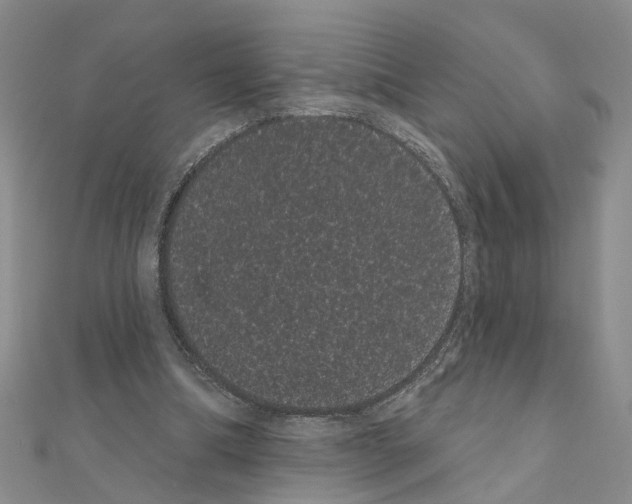 X0000111050298200908061523