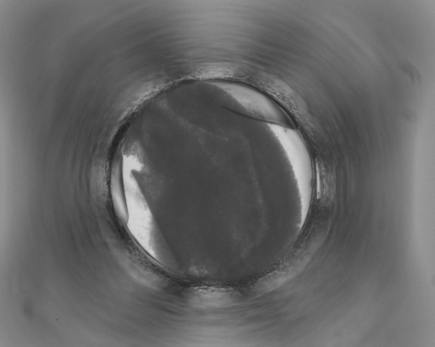 X0000111050300200908061523