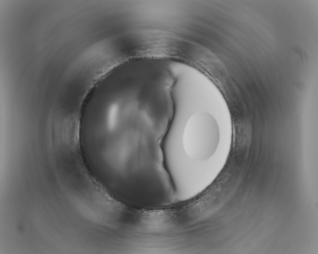 X0000111050301200908061523