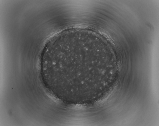 X0000111050303200908061523