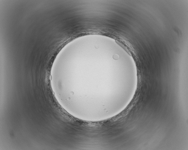 X0000111050305200908061523