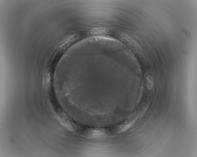 X0000111050308200908061523