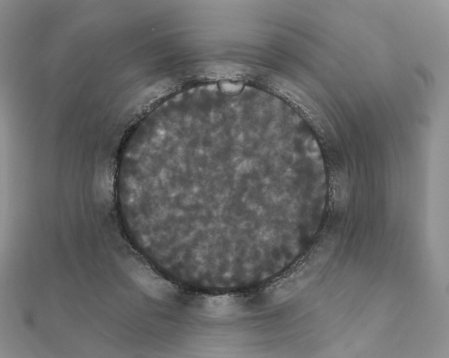 X0000111050309200908061523