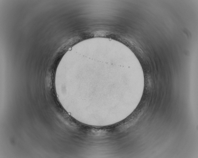 X0000111050311200908061523