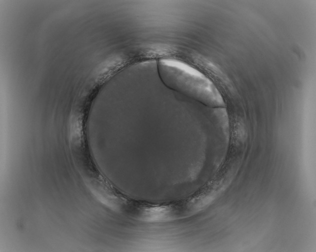 X0000111050312200908061523