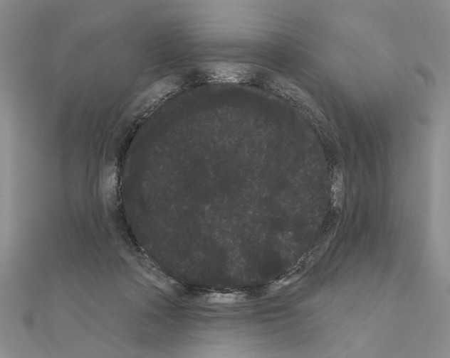 X0000111050314200908061523