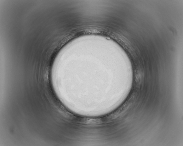 X0000111050315200908061523