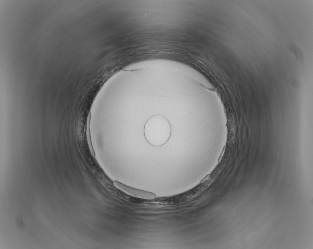 X0000111050316200908061523