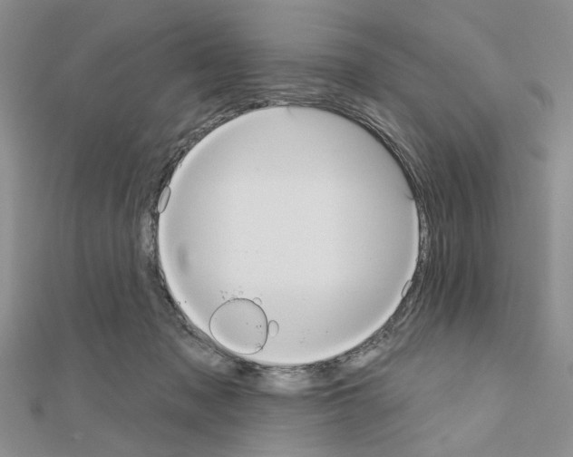 X0000111050317200908061523