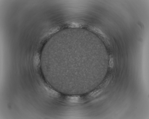 X0000111050318200908061523