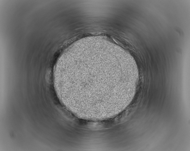 X0000111050319200908061523