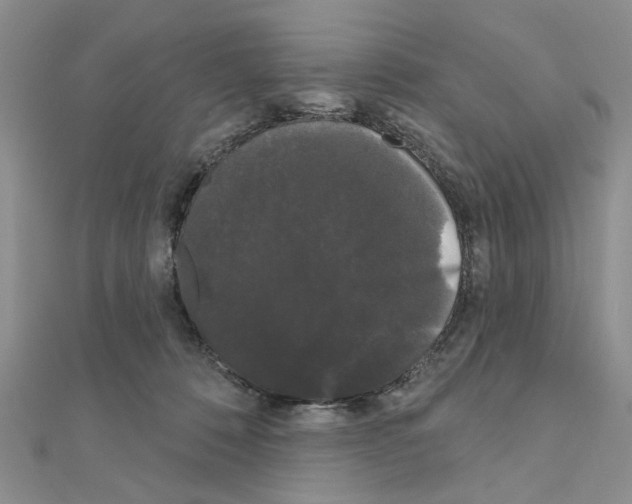 X0000111050320200908061523