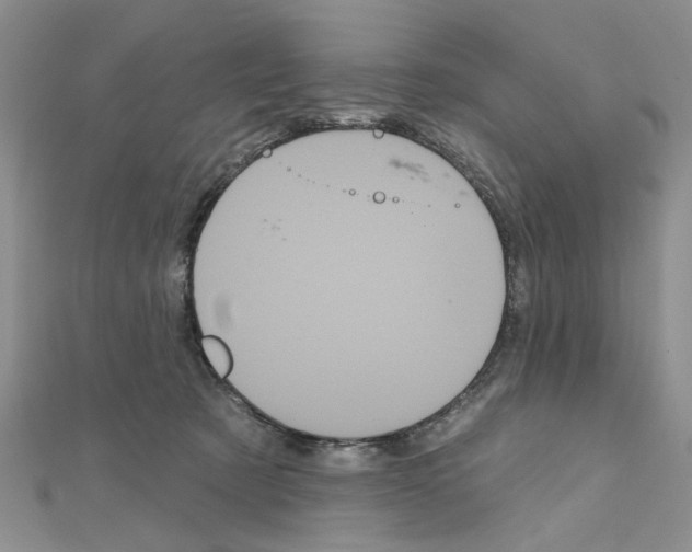 X0000111050321200908061523