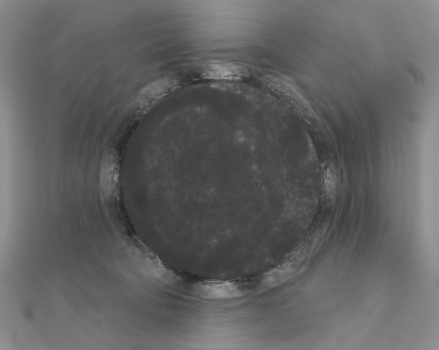 X0000111050322200908061523