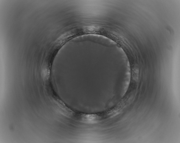 X0000111050324200908061523