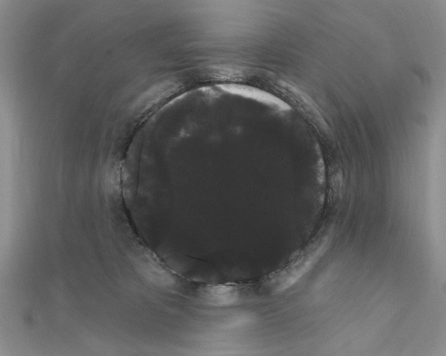 X0000111050325200908061523