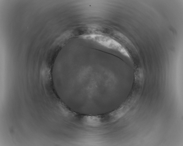 X0000111050327200908061523