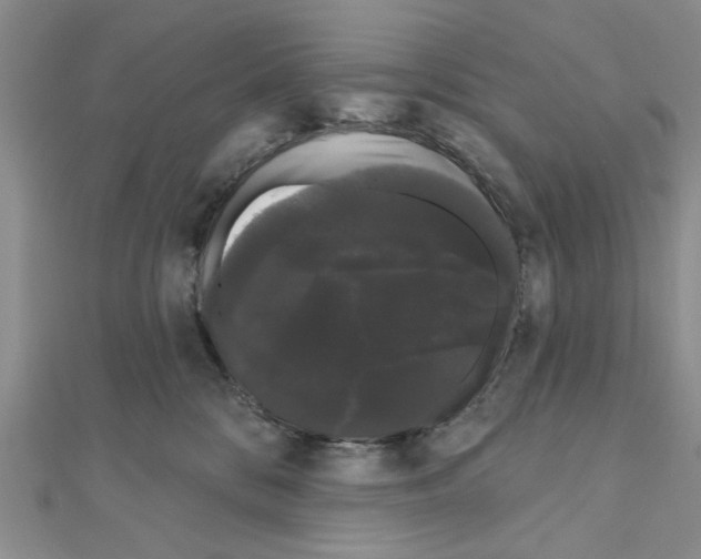 X0000111050328200908061523