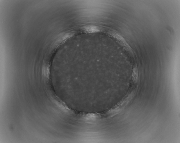 X0000111050330200908061523