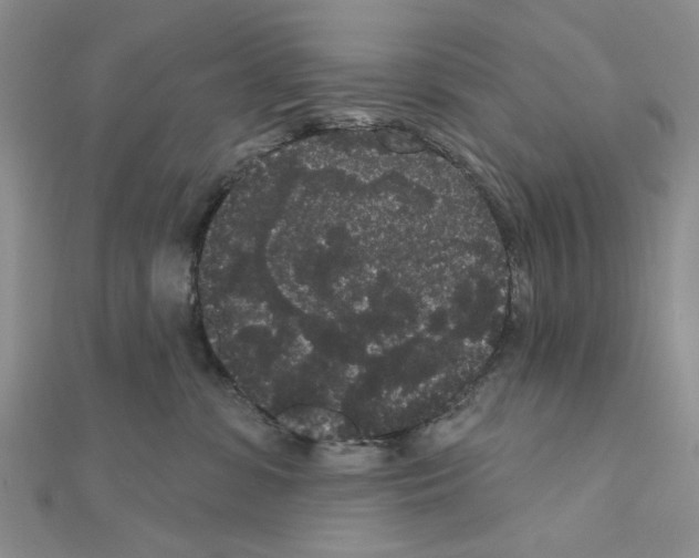 X0000111050331200908061523