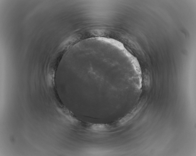 X0000111050332200908061523