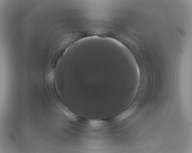 X0000111050336200908061523