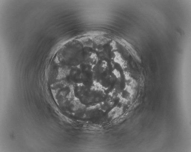 X0000111050337200908061522