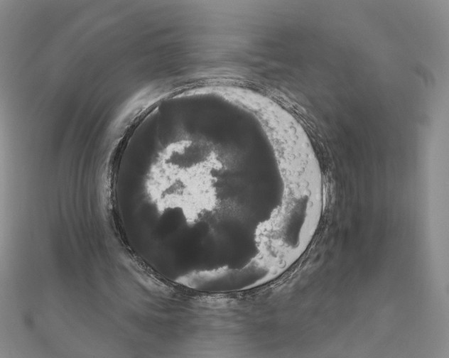 X0000111050339200908061522