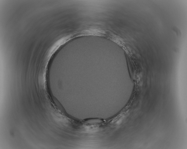 X0000111050340200908061522