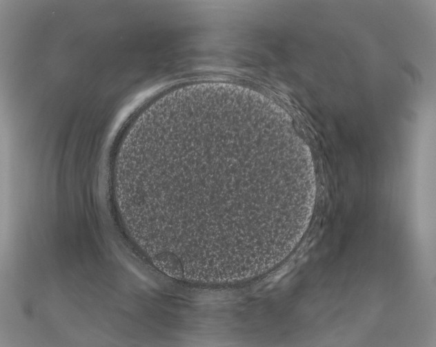 X0000111050342200908061522