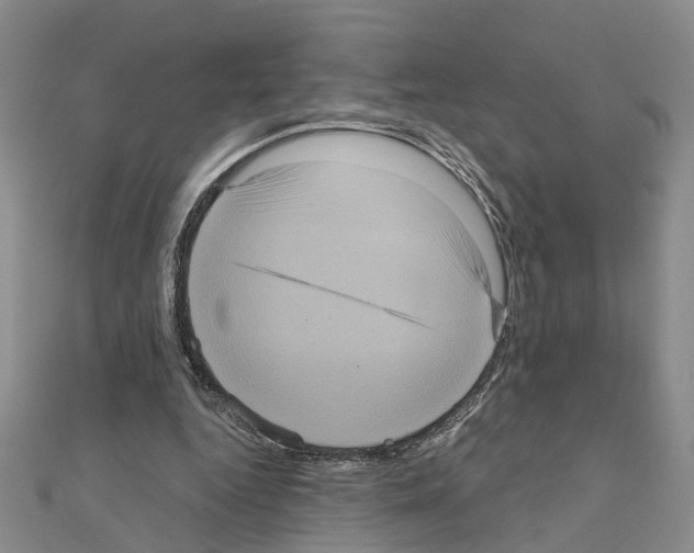 X0000111050344200908061522