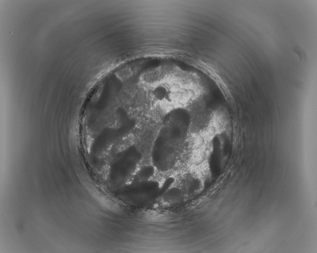 X0000111050346200908061522