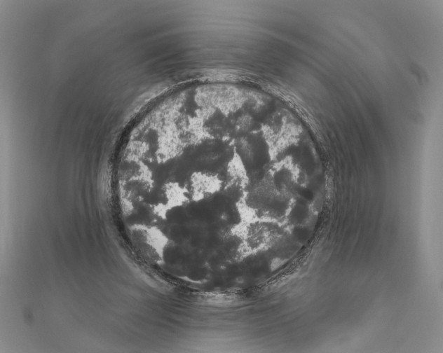 X0000111050347200908061522