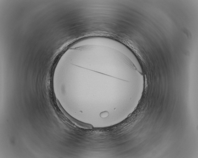 X0000111050348200908061522