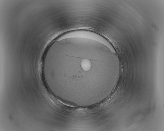 X0000111050350200908061522