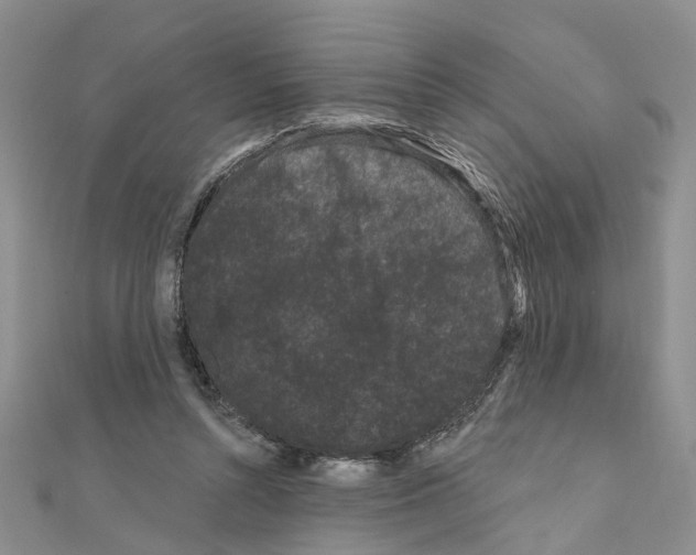 X0000111050352200908061522