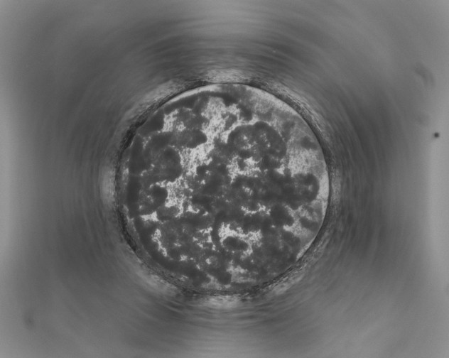 X0000111050353200908061522