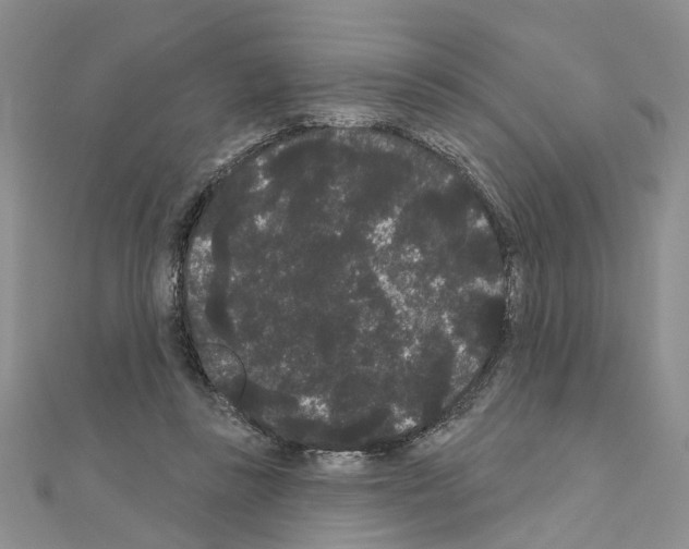 X0000111050355200908061522