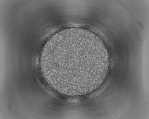 X0000111050358200908061522