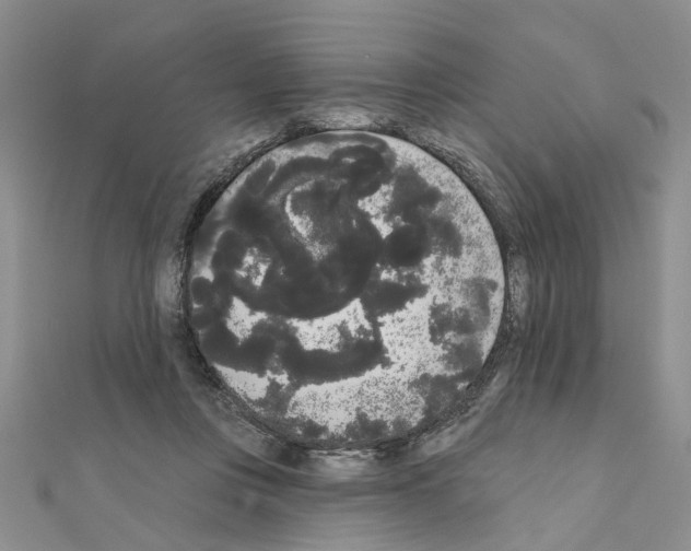 X0000111050359200908061522