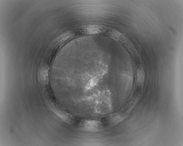 X0000111050360200908061522