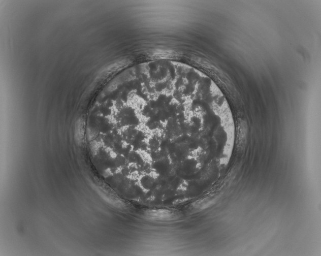 X0000111050361200908061522