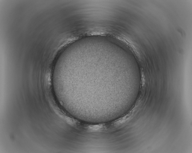 X0000111050362200908061522