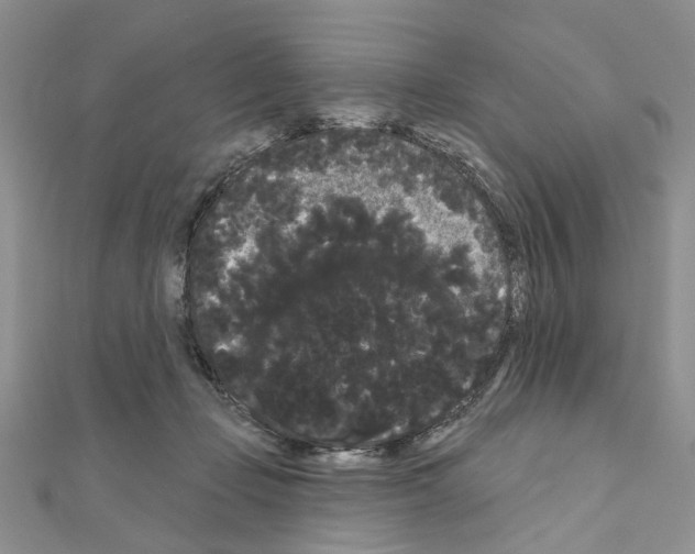 X0000111050365200908061522